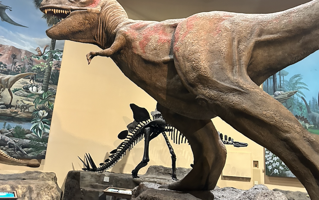 Day Trip: Fernbank Museum: Dinosaurs, Discovery & Dazzling Lights – Oh My!